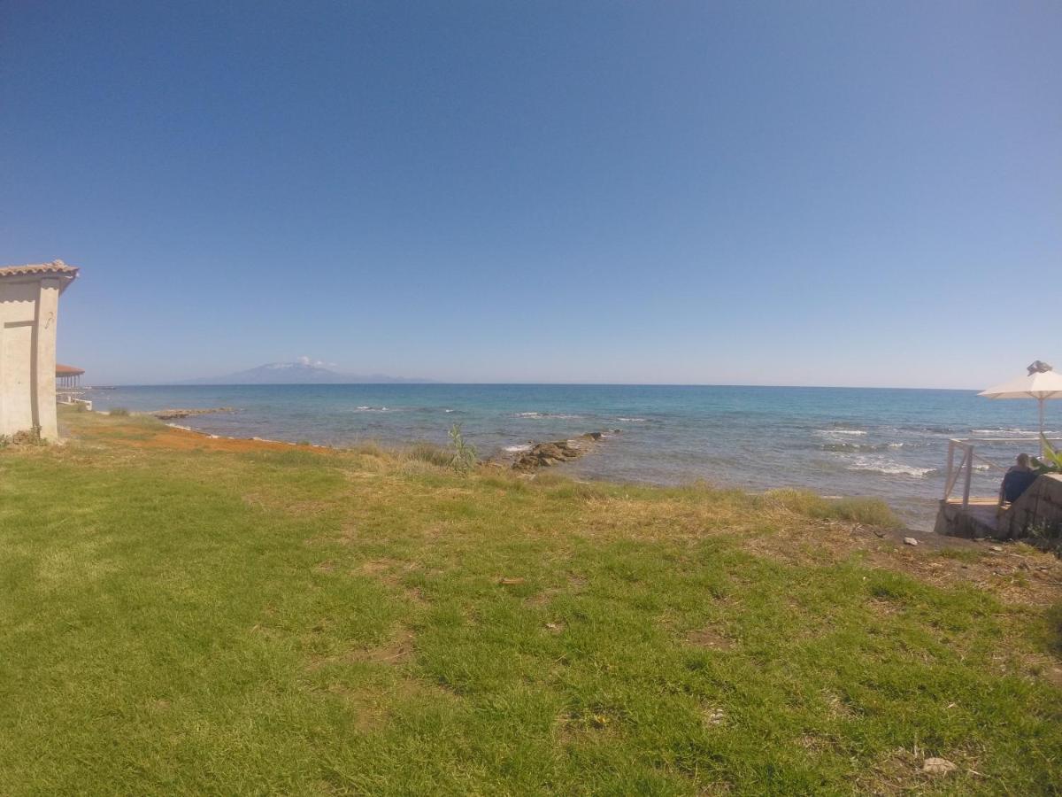 Kimiro Drosia Zante Bed & Breakfast Psarou  Exterior foto